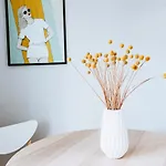 Square Appartement